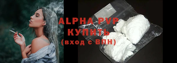 спайс Богданович