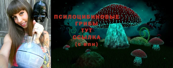 кристаллы Бородино
