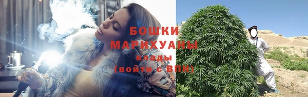 спайс Богданович